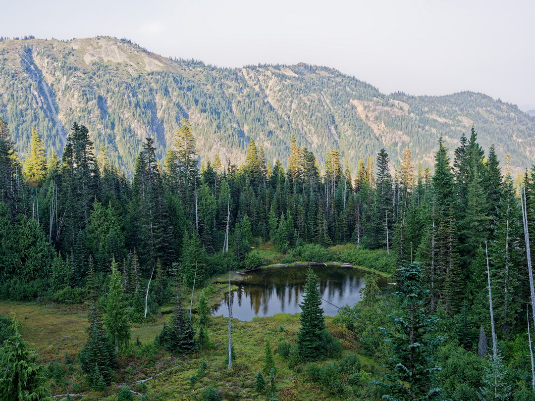 Above: A Tarn Viewed From the Trail to Bench Lake